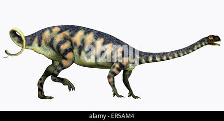 Massospondylus war ein Pflanzenfresser prosauropod Dinosaurier, der während der Jurassic Zeitraum Südafrika gelebt. Stockfoto