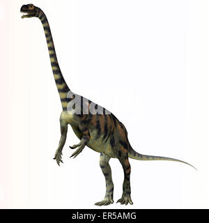 Massospondylus war ein Pflanzenfresser prosauropod Dinosaurier, der während der Jurassic Zeitraum Südafrika gelebt. Stockfoto