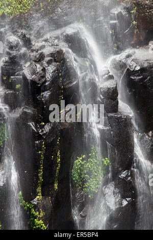 Fuß am Reillys Rainforest Retreat - Moran Falls Stockfoto