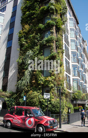 Die vertikalen Garten von Living Wall, The Athenaeum Hotel, Piccadilly, Mayfair, City of Westminster, London, England, Vereinigtes Königreich Stockfoto