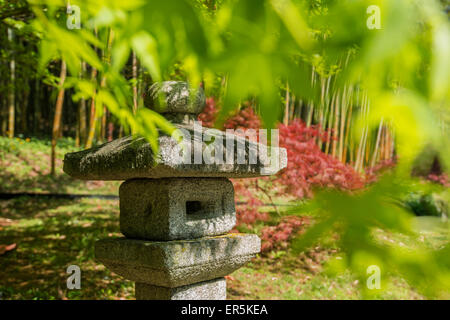 Bambus-Wald, Gärten der Villa Carlotta, Tremezzo, Comer See, Lago di Como, Provinz Como, Lombardei, Italien Stockfoto