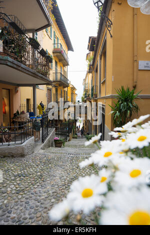 Bellagio, Comer See, Lago di Como, Provinz Como, Lombardei, Italien Stockfoto