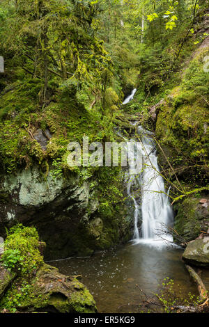 Lotenbachklamm, Wutachschlucht, Bonndorf, Schwarzwald, Baden-Württemberg, Deutschland Stockfoto