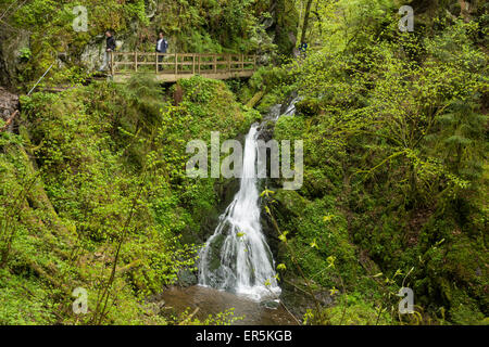 Lotenbachklamm, Wutachschlucht, Bonndorf, Schwarzwald, Baden-Württemberg, Deutschland Stockfoto