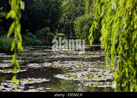 Teich mit Seerosen in Monets Garten in Giverny, Eure. Normandie, Frankreich Stockfoto