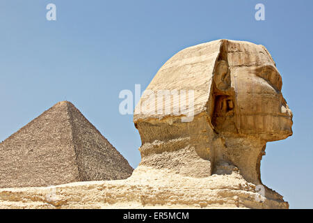 Große Sphinx, die Cheops-Pyramide im Hintergrund, Gizeh, Giza Governorate, Ägypten Stockfoto