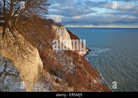 Koenigstuhl, Grosse Stubbenkammer, Kreide Klippen, Jasmund Nationalpark, Insel Rügen, Ostseeküste, Mecklenburg-Vorpommern Stockfoto