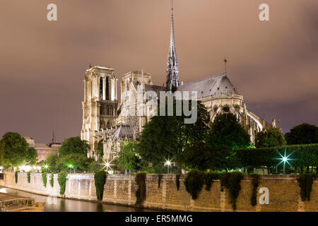 Cathedrale Notre-Dame de Paris, Ile De La Cite, Paris, Frankreich, Europa, UNESCO Heritage Sites Weltbank Seine zwischen Pont de Stockfoto