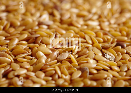 Leinsamen Stockfoto