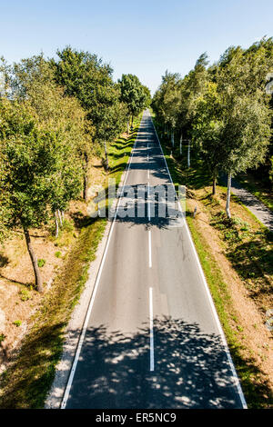 Straße verschwinden in den Horizont, Radbruch, Winsen Luhe, Niedersachsen, Norddeutschland, Deutschland Stockfoto