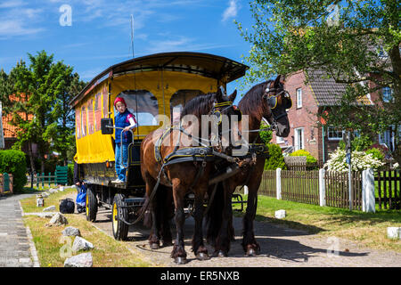 Pferd und Wagen, Insel Langeoog, Nordsee, Ostfriesischen Inseln, Ostfriesland, Niedersachsen, Deutschland, Europa Stockfoto