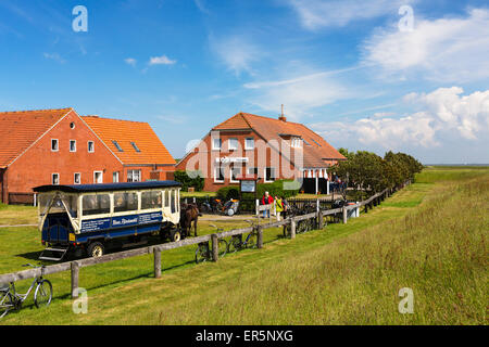 Restaurant Meierei mit Pferd und Wagen, Insel Langeoog, Nordsee, Ostfriesischen Inseln, Ostfriesland, Niedersachsen, Deutschland, Eu Stockfoto