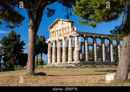 Tempel der Athene, historische Stadt Paestum in den Golf von Salerno, Capaccio, Kampanien, Italien, Europa Stockfoto