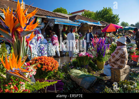 Blumenmarkt in Antananarivo, der Hauptstadt von Madagaskar, Afrika Stockfoto