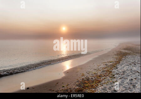 Strand bei Kuehlungsborn West bei Sonnenaufgang, Badeort der Grenzziehung, Mecklenburg-Western Pomerania, Deutschland Stockfoto