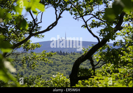 Blick vom Burgberg auf dem Brocken Berg, Bad Harzburg, Harz, Niedersachsen, Deutschland, Europa Stockfoto