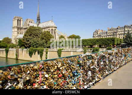 Liebesschlösser auf der Brücke Pont de L'Archeveche vor der Kathedrale Notre Dame, Paris, Frankreich, Europa Stockfoto