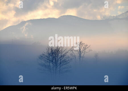 Zahmer Kaiser Aurrounded von Nebel, Kaiserwinkl, Winter in Tirol, Österreich Stockfoto