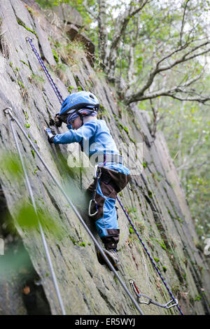 Junge 4 Jahre Klettern an einem Felsen, Gaudlitzberg Steinbruch, Roecknitz, Thallwitz, Sachsen, Deutschland Stockfoto