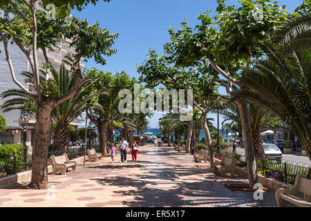 Promenade in Finca, Santa Eularia des Riu, Ibiza, Balearen, Spanien Stockfoto