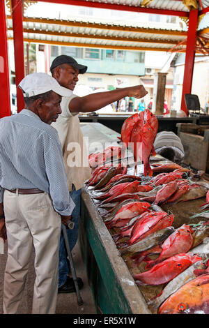 Victoria-Fisch Markt, Insel Mahe Seychellen, Indischer Ozean Stockfoto