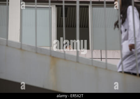 eine Frau sieht in der Windwo aus dem Krankenhaus, Beijing, China. 23. April 2015. © Jiwei Han/ZUMA Draht/Alamy Live-Nachrichten Stockfoto