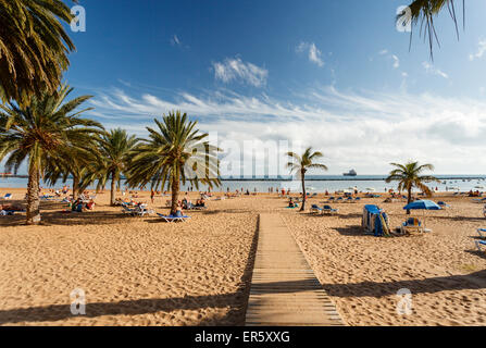 Strand mit Palmen, Playa de Las Teresitas, in der Nähe von San Andres, Las Montanas de Anaga Naturpark Parque Rural de Anaga, Stockfoto