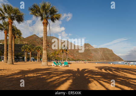 Strand mit Palmen, Playa de Las Teresitas, in der Nähe von San Andres, Las Montanas de Anaga Naturpark Parque Rural de Anaga, Stockfoto