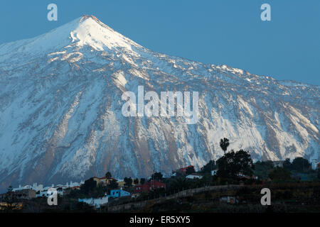 Blick auf Teide, 3718m, von Icod de Los Vinos, das Wahrzeichen der Insel, der höchste Punkt in Spanien, Vulkanberge, Teneriffa, Kanarische Stockfoto