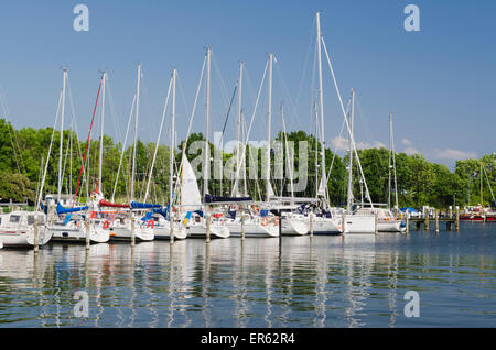 Segelboote im Hafen von Lauterbach, Rügen, Mecklenburg-Western Pomerania, Deutschland Stockfoto