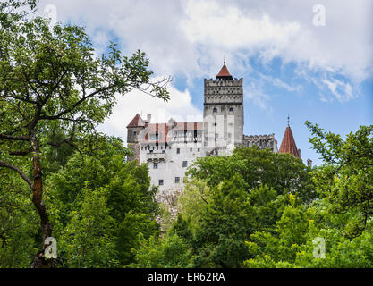 Schloss Bran, Draculas Schloss, Kleie, Siebenbürgen, Rumänien Stockfoto