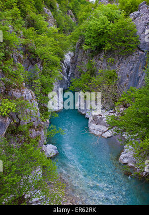 Valbona Fluss Valbona-Valley-Nationalpark, albanische Alpen, Albanien Stockfoto