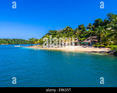 Karibik-Strand mit Palmen Bäume, Erol Flynn Marina, Port Antonio, Portland Region, große Antillen, Jamaika Stockfoto