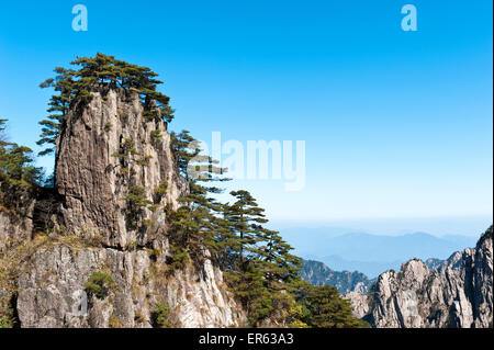 Bizarr aufragenden Felsen und Berge überwachsen mit Huangshan Kiefern (Pinus hwangshanensis), Mount Huangshan, Mount Huangshan Stockfoto