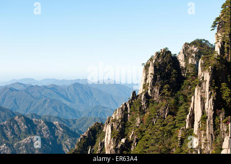 Hoch aufragenden Granitfelsen überwachsen mit Huangshan Kiefern (Pinus hwangshanensis), Mount Huangshan, Huang Shan, Provinz Anhui, China Stockfoto