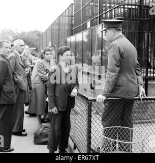 Ron Smith, Tierpfleger, im Gespräch mit Clifford Preece 15, Zeugen ein Vorfalls mit Kerl der Gorilla im Londoner Zoo im Bild stehen außen Gorilla-Käfig, 18. Juni 1956. Stockfoto