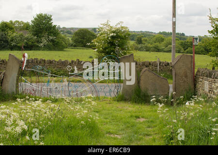 Pye Flatts Wiesen - schöne alte Tiefland Grasland Weiden in Hoylandswaine, South Yorkshire, England, UK mit SSSI status Stockfoto