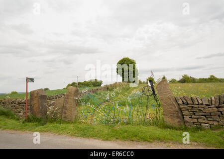 Pye Flatts Wiesen - Wiesen SSSI alten Tiefland Grünland in Hoylandswaine, South Yorkshire, England, UK Stockfoto