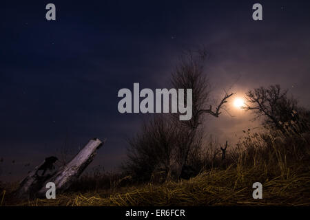 Jagd nach dem Mond - Nacht Vollmond Landschaft Hintergrund Stockfoto