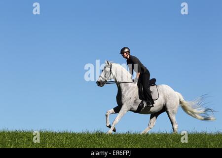 Frau reitet Englisches Vollblut Stockfoto