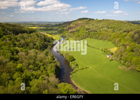 Blick über Wye Valley von Symonds Yat Rock, Symonds Yat, Forest of Dean, Herefordshire, England, Vereinigtes Königreich, Europa Stockfoto