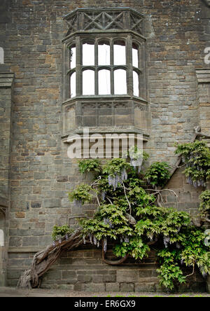 Die Gärten von Nymans, einer Website des National Trust in West Sussex Stockfoto