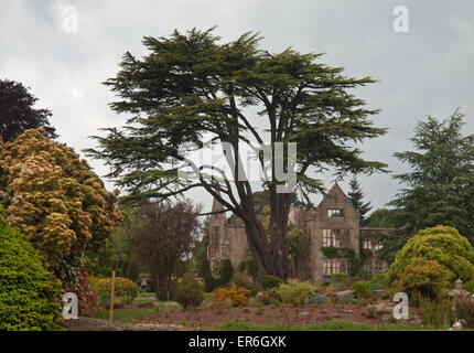 Die Gärten von Nymans, einer Website des National Trust in West Sussex Stockfoto