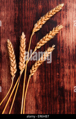 Getrocknete Gerste auf braunem Holz Hintergrund, Ansicht von oben. Bio Getreide. Landwirtschaftlichen Hintergrund mit Textfreiraum. Stockfoto