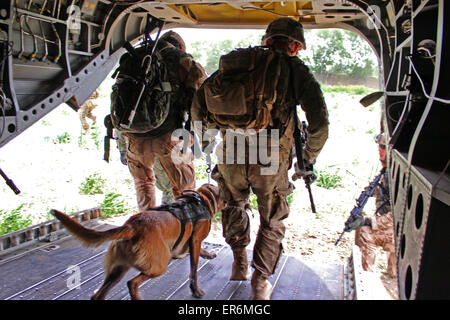 UNS, fahren Tschechische und georgischen Soldaten von einer CH-47 Chinook-Hubschrauber für eine Sicherheitspatrouille in einem abgelegenen Dorf 8. Mai 2015 in Parwan Provinz, Afghanistan. Stockfoto