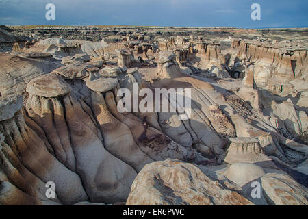 Steil erodierten Felsformationen in den Bisti De-Na-Zin Wilderness im San Juan County, New Mexico. Stockfoto