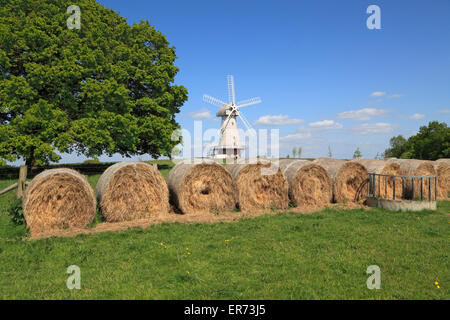 Windmühle, Sandhurst, Kent, England, Großbritannien Stockfoto