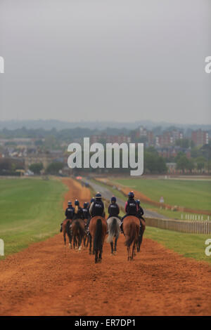 Pferde und Reiter auf die Galopps machen ihren Weg zurück in Newmarket bei Handelsschluss läuft. Stockfoto