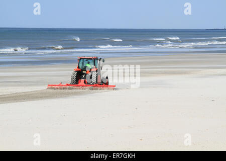 Ein Traktor Rechen und Reinigung des Strandes in Wildwood Crest, New Jersey, USA Stockfoto