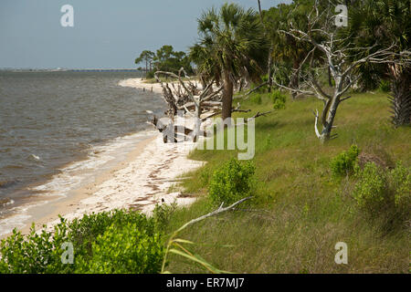 Eastpoint, Florida - Strand am Apalachicola Estuarine Research Nationalreservat. Stockfoto